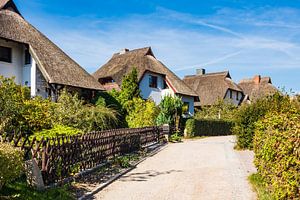 Thatched houses with blue sky in Ahrenshoop, Germany sur Rico Ködder