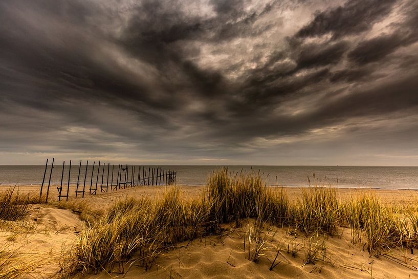 Strand von Texel von Andy Luberti