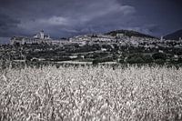 Assisi