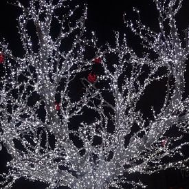 kerstboom met witte lichten van Marleen De Wandeleer