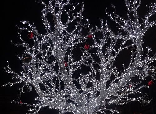 christmas tree white