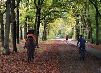 die drei Transportmittel für den Wald
