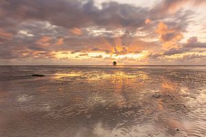 Englishman Plate: Sonnenuntergang mit dem Limettenmann und spiegelnden Wolken