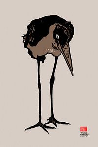 maribou