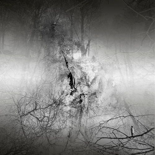 AVALON: A WINTER BREEZE