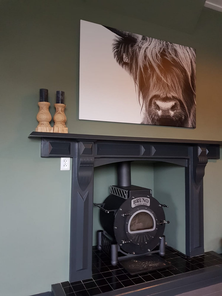 Portrait Scottish Highlander Schwarzweiss, von Sandra van Kampen