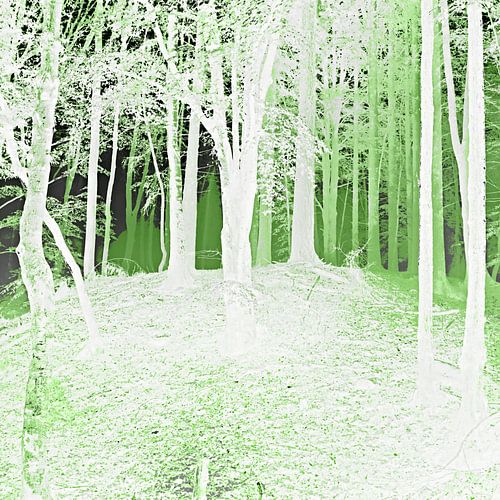 De energie van de natuur