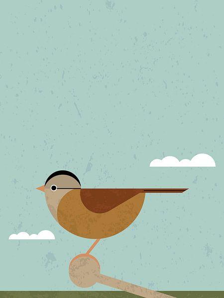 Sparrow 2 by Vision Grasp Art