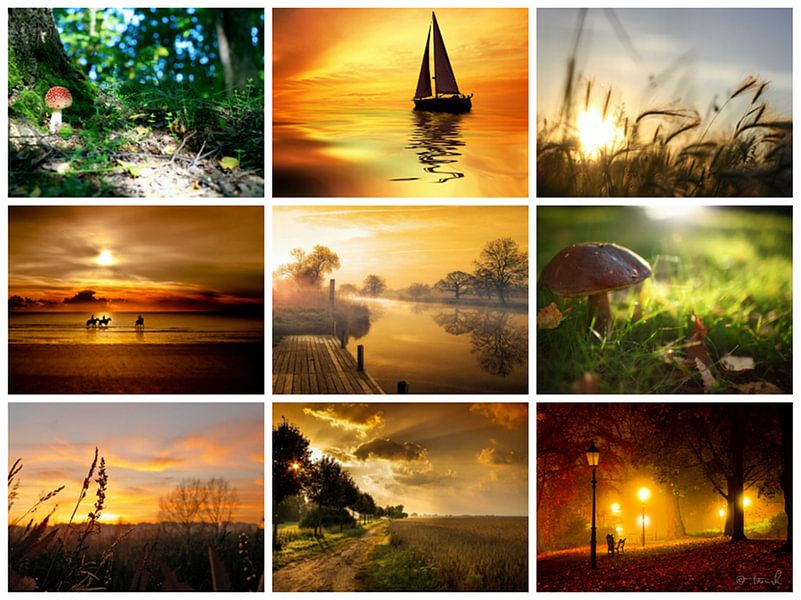 herfst collage 2 by Marja Hoebe