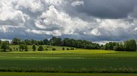 Grasland