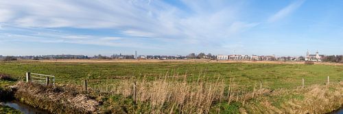 Skyline van 's-Hertogenbosch