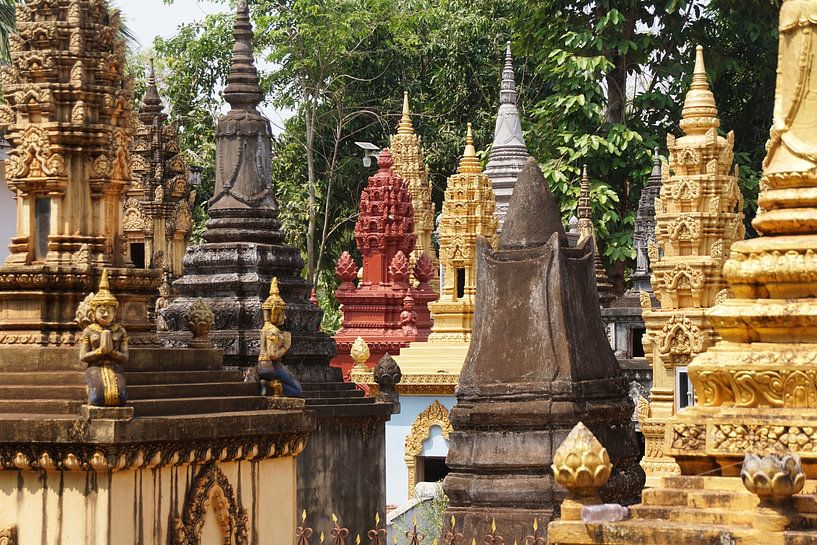 Cambodia by Michel van Vliet