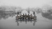 Lake in the mist by Jan Hermsen thumbnail