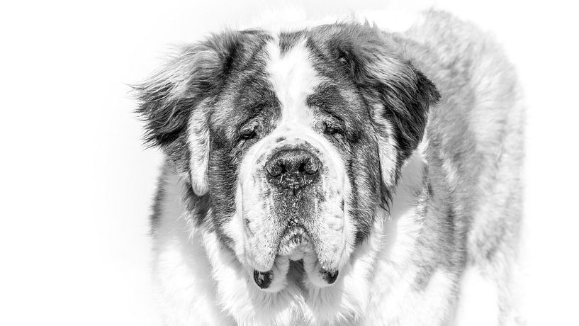 eminence grise by Pieter Heres