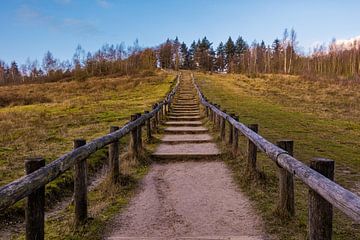 Große Treppe in einem wunderschönen Naturschutzgebiet von Rick van de Kraats