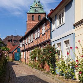 Historische huisgevels in de oude stad, Lüneburg van Torsten Krüger