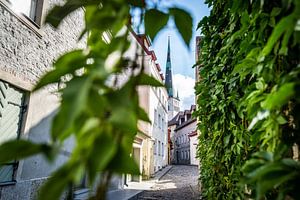 Straße in Tallinn, Estland