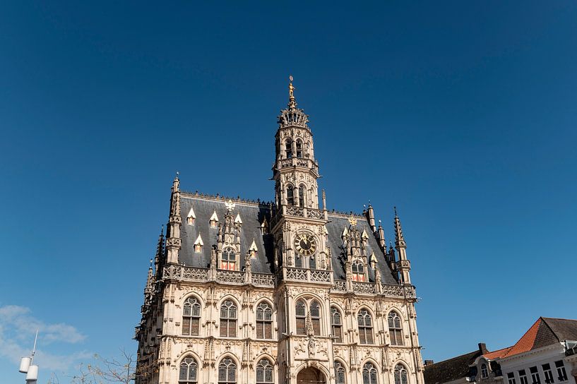 Oudenaarde Stadhuis van Richard Wareham