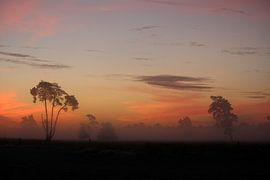 Sunrise in the Brabant dunes by Yvette de Vries