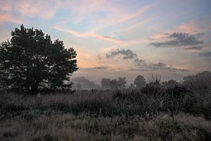 Rozendaal-Feld Teil 18