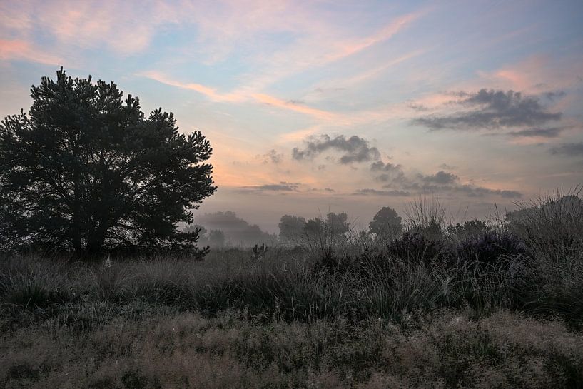Rozendaal field part 18 by Tania Perneel