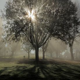 Optrekkende mist in Maastricht-west van Ton Reijnaerdts