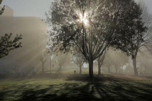 Optrekkende mist in Maastricht-west