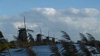Windmills Kinderdijk