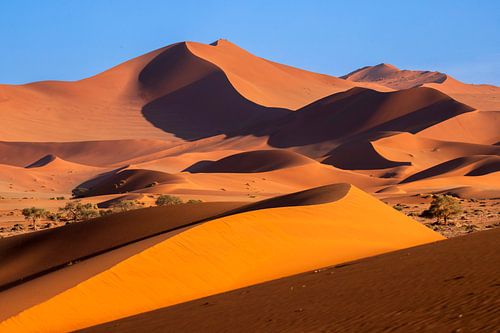 Sossusvlei in Namibië