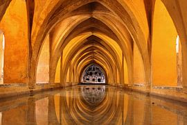 Badhuis Real Alcázar by Anton Pronk