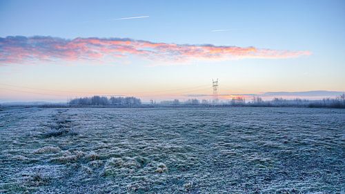 Zonsopkomst in het Bentwoud