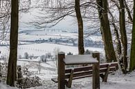 Uitzicht op de Eyserhalte in de sneeuw van John Kreukniet thumbnail