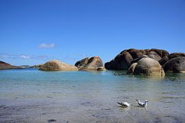 Awesome rocks in Elephant Cove by Frank's Awesome Travels