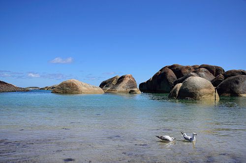 Geweldige rotsen in Elephant Cove