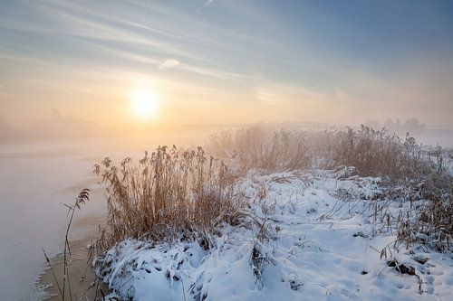 Winter in the Alblasserwaard