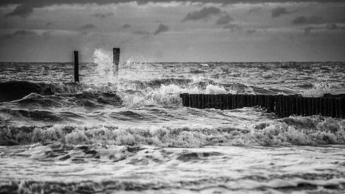 Golfbreker in actie. zwart wit