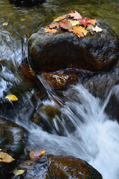 The river in autumn by Claude Laprise
