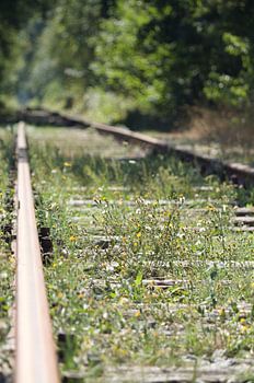 The track that never stops, the road to oneiding