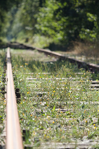 Der Weg, der nie endet, der Weg nach Oneiding