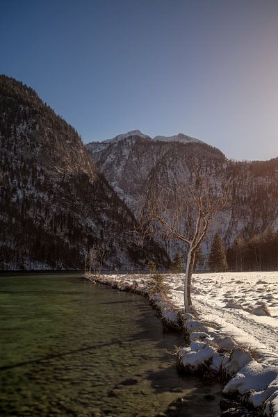 On the shore of the Königssee by Thomas Weber BGL