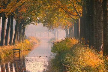 Herfst in Friesland van Henk Meijer Photography