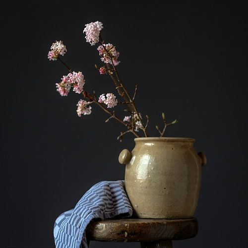 Oud Hollands stilleven met roze winterbloeier