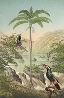 Tropisch paradijs en vogels