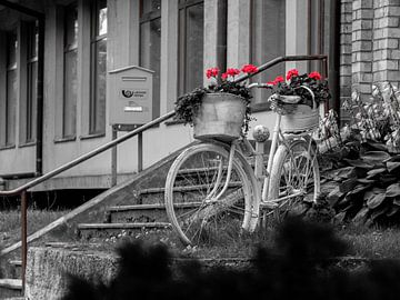 een oude fiets en rode bloemen van Leonidas Ladinskis