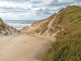 Sur la plage de Vorupør