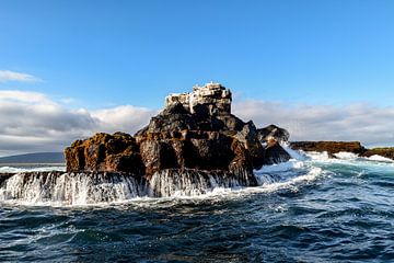 Îles Galapagos Isabela sur Hermineke Pijls