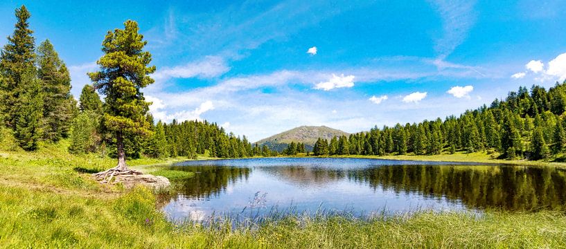 Gebirgssee m Schatten der Kiefern – Sommerstille am See zwischen Wiese, Wald und weitem Himmel- Schwarzsee in Österreich von AidasignArt