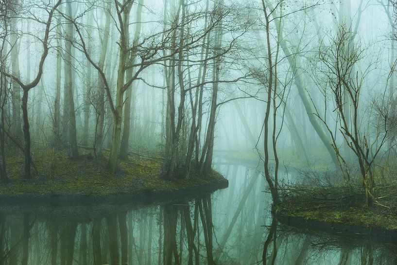 Nebliger Wald von Arjen Roos