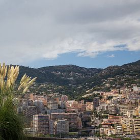 View on Monaco van Guido Akster