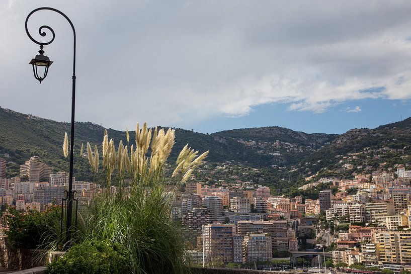 View on Monaco van Guido Akster